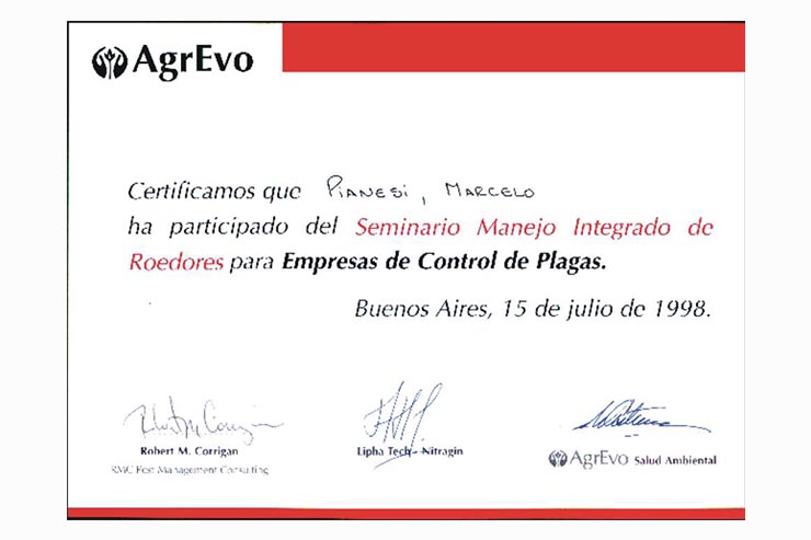 Certificado 7